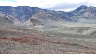 Rhyolite Ridge